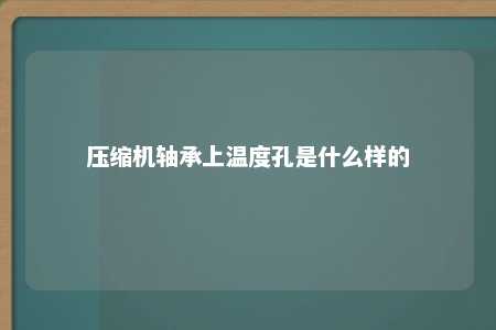 压缩机轴承上温度孔是什么样的 