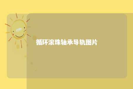 循环滚珠轴承导轨图片 