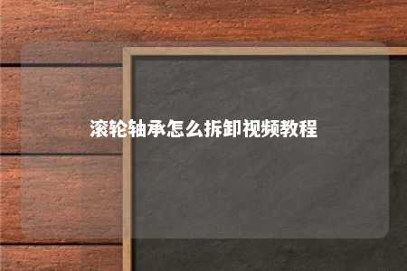 滚轮轴承怎么拆卸视频教程 