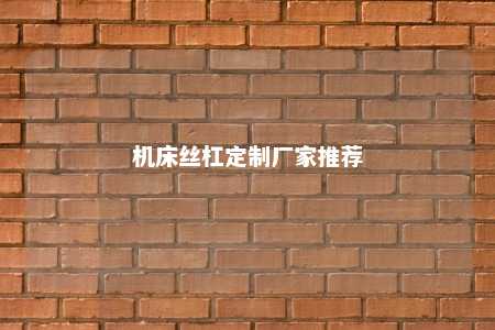 机床丝杠定制厂家推荐 